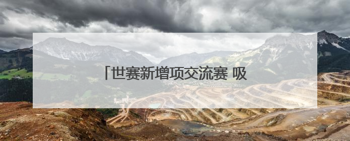 世赛新增项交流赛 吸引多国选手来穗切磋
