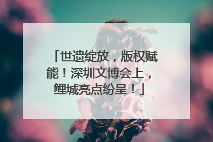 世遗绽放，版权赋能！深圳文博会上，鲤城亮点纷呈！