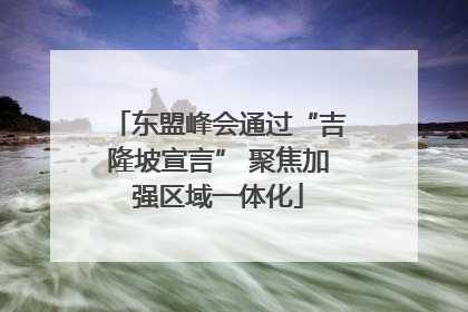 东盟峰会通过“吉隆坡宣言” 聚焦加强区域一体化