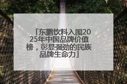 东鹏饮料入围2025年中国品牌价值榜，彰显强劲的民族品牌生命力
