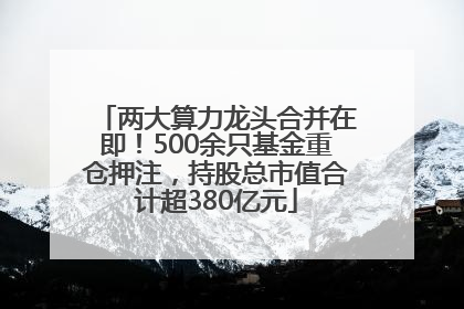 两大算力龙头合并在即！500余只基金重仓押注，持股总市值合计超380亿元