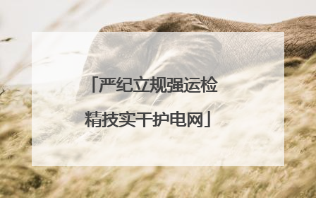 严纪立规强运检 精技实干护电网