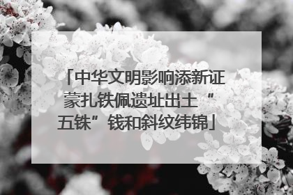 中华文明影响添新证 蒙扎铁佩遗址出土“五铢”钱和斜纹纬锦
