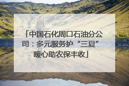 中国石化周口石油分公司：多元服务护“三夏” 暖心助农保丰收