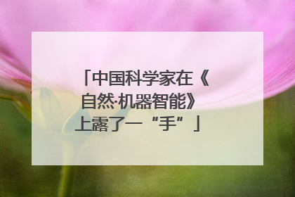 中国科学家在《自然·机器智能》上露了一“手”