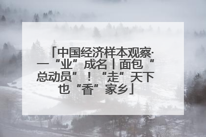 中国经济样本观察·一“业”成名丨面包“总动员”！“走”天下也“香”家乡