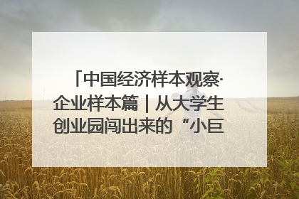 中国经济样本观察·企业样本篇｜从大学生创业园闯出来的“小巨人”——卡诺普机器人的逐梦历程