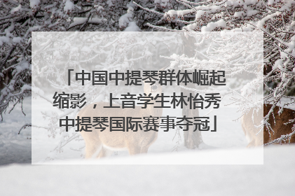 中国中提琴群体崛起缩影，上音学生林怡秀中提琴国际赛事夺冠