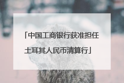 中国工商银行获准担任土耳其人民币清算行