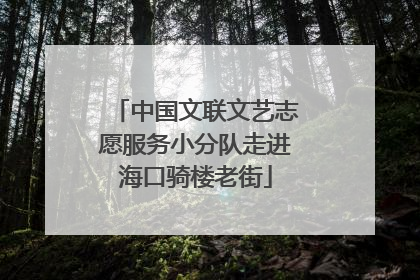 中国文联文艺志愿服务小分队走进海口骑楼老街