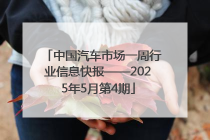 中国汽车市场一周行业信息快报——2025年5月第4期