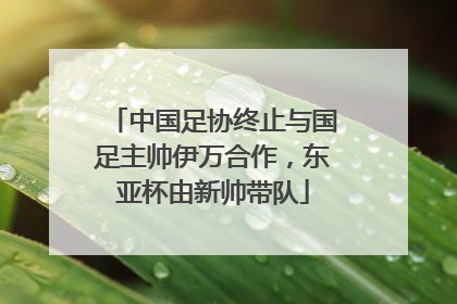 中国足协终止与国足主帅伊万合作，东亚杯由新帅带队