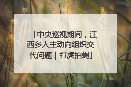 中央巡视期间，江西多人主动向组织交代问题｜打虎拍蝇