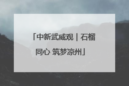 中新武威观｜石榴同心 筑梦凉州