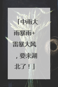 中雨大雨暴雨+雷暴大风，要来湖北了！