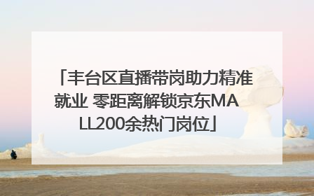 丰台区直播带岗助力精准就业 零距离解锁京东MALL200余热门岗位