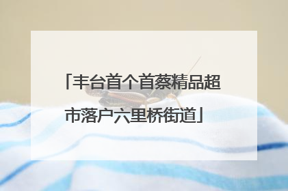 丰台首个首蔡精品超市落户六里桥街道