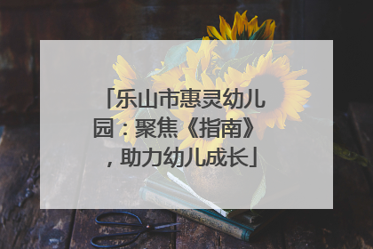 乐山市惠灵幼儿园：聚焦《指南》，助力幼儿成长