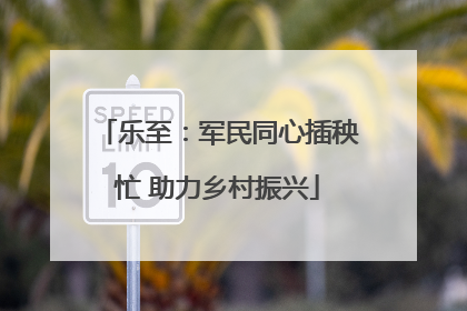 乐至：军民同心插秧忙 助力乡村振兴