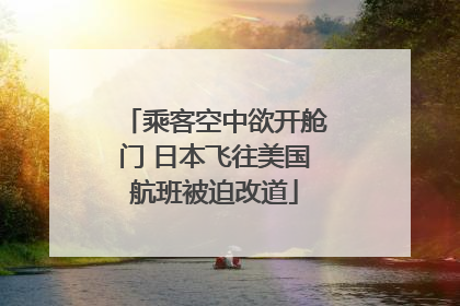 乘客空中欲开舱门 日本飞往美国航班被迫改道