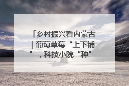乡村振兴看内蒙古｜葡萄草莓“上下铺”，科技小院“种”出三倍效益