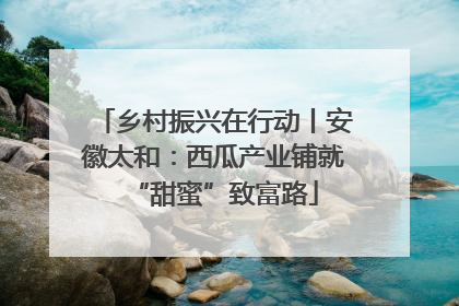 乡村振兴在行动丨安徽太和：西瓜产业铺就“甜蜜”致富路