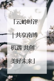 云岭时评｜共享南博机遇 共创美好未来