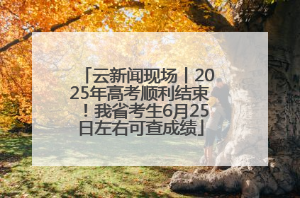 云新闻现场丨2025年高考顺利结束！我省考生6月25日左右可查成绩