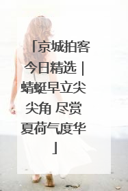 京城拍客今日精选｜蜻蜓早立尖尖角 尽赏夏荷气度华