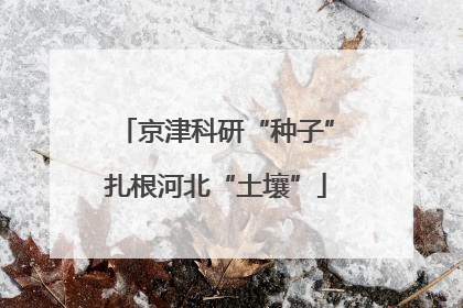 京津科研“种子”扎根河北“土壤”