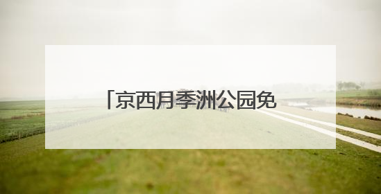 京西月季洲公园免费开放，市民假期驱车前来赏花打卡