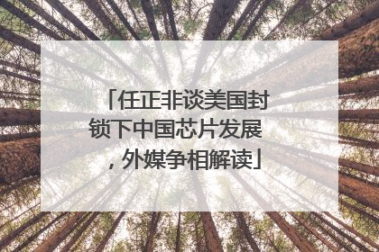 任正非谈美国封锁下中国芯片发展，外媒争相解读