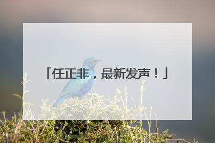 任正非，最新发声！