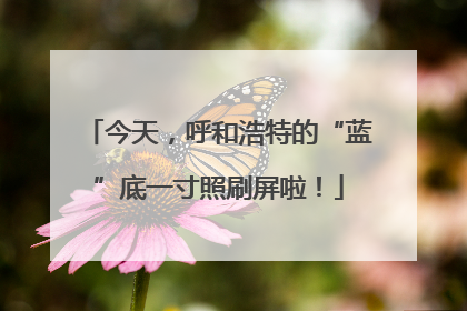 今天，呼和浩特的“蓝”底一寸照刷屏啦！