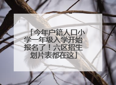 今年户籍人口小学一年级入学开始报名了！六区招生划片表都在这
