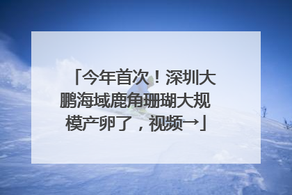 今年首次！深圳大鹏海域鹿角珊瑚大规模产卵了，视频→