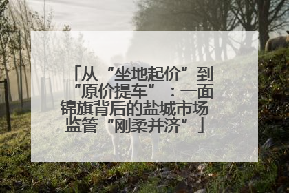 从“坐地起价”到“原价提车”：一面锦旗背后的盐城市场监管“刚柔并济”