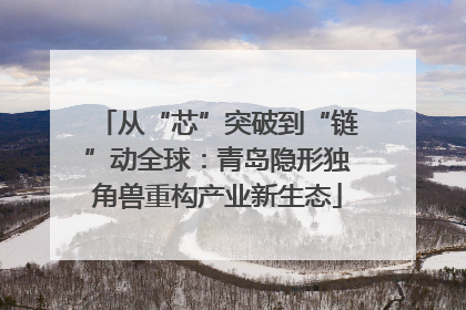 从“芯”突破到“链”动全球：青岛隐形独角兽重构产业新生态
