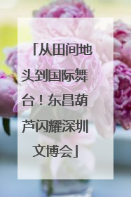 从田间地头到国际舞台！东昌葫芦闪耀深圳文博会