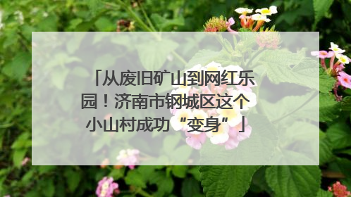 从废旧矿山到网红乐园！济南市钢城区这个小山村成功“变身”