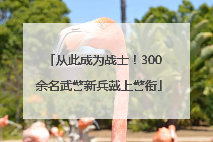 从此成为战士！300余名武警新兵戴上警衔