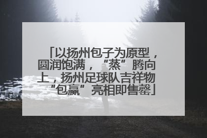 以扬州包子为原型，圆润饱满，“蒸”腾向上，扬州足球队吉祥物“包赢”亮相即售罄