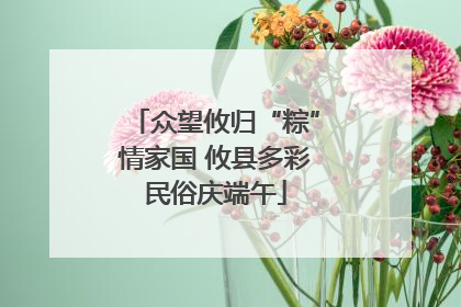 众望攸归“粽”情家国 攸县多彩民俗庆端午