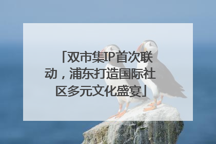 双市集IP首次联动，浦东打造国际社区多元文化盛宴
