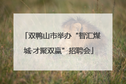 双鸭山市举办“智汇煤城·才聚双赢”招聘会