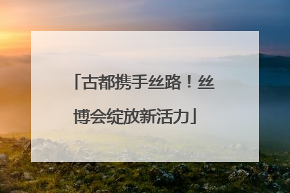 古都携手丝路！丝博会绽放新活力