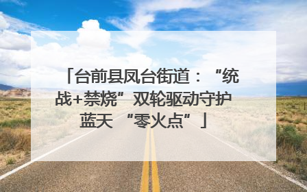 台前县凤台街道：“统战+禁烧”双轮驱动守护蓝天 “零火点”