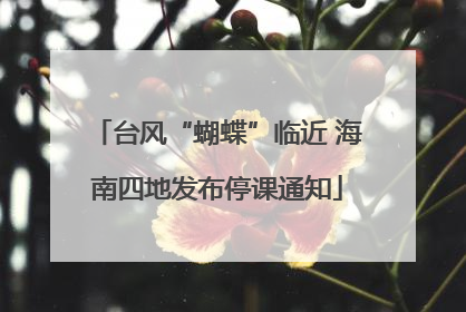 台风“蝴蝶”临近 海南四地发布停课通知