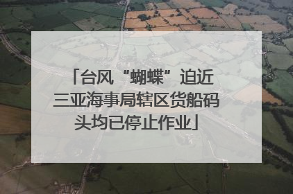 台风“蝴蝶”迫近 三亚海事局辖区货船码头均已停止作业
