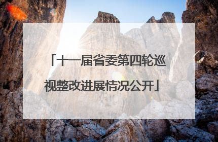 十一届省委第四轮巡视整改进展情况公开